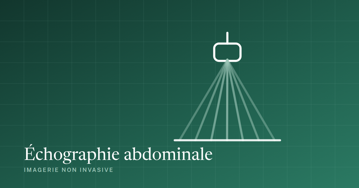 Échographie abdominale : schema de l'examen